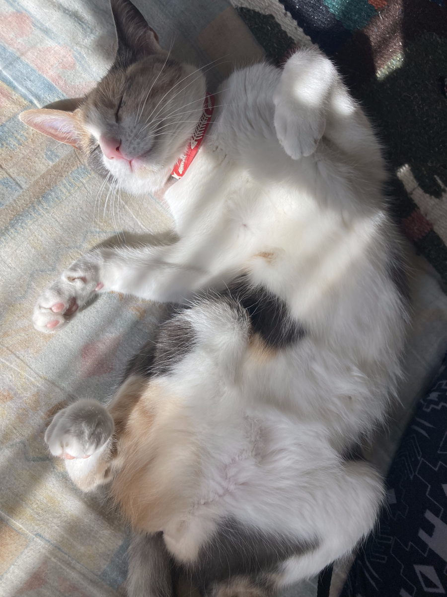 Lucy